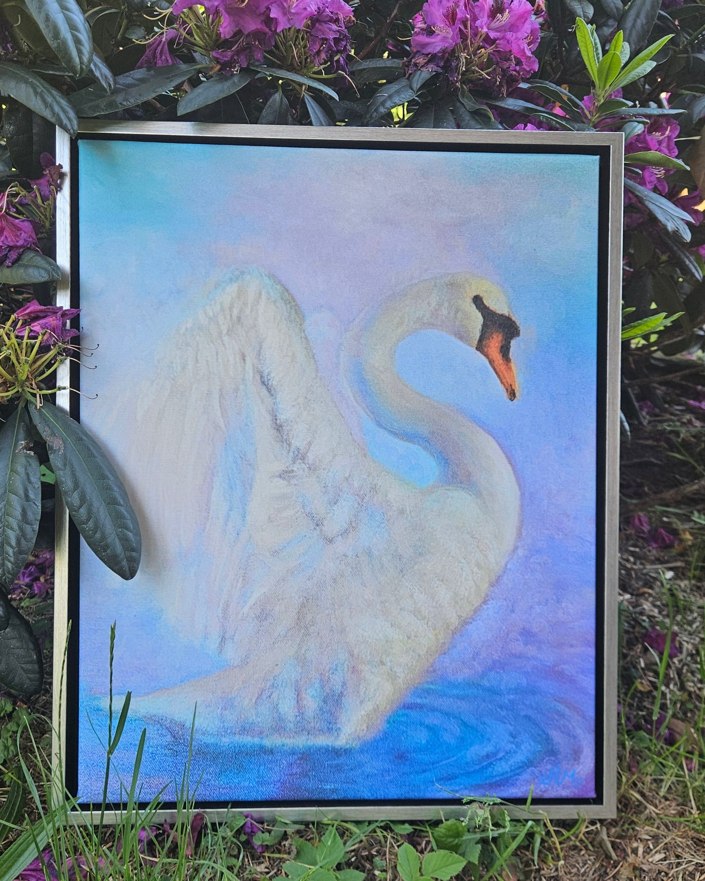 Print on canvas 40 x 50 cm – The Power of the Swan